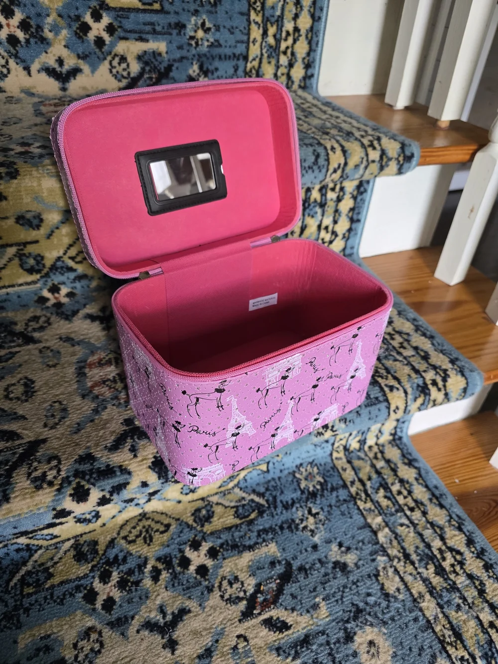Pink Paris Print Train Case Vanity Bag